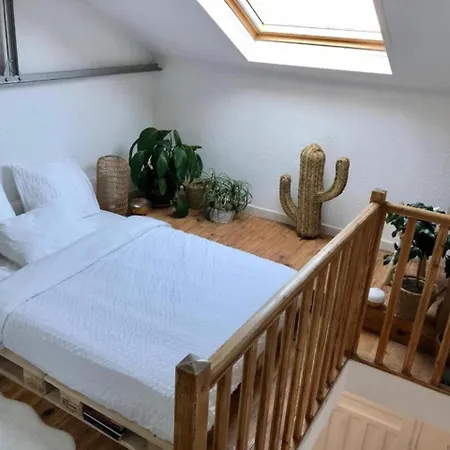 Petit Duplex מונפלייה
